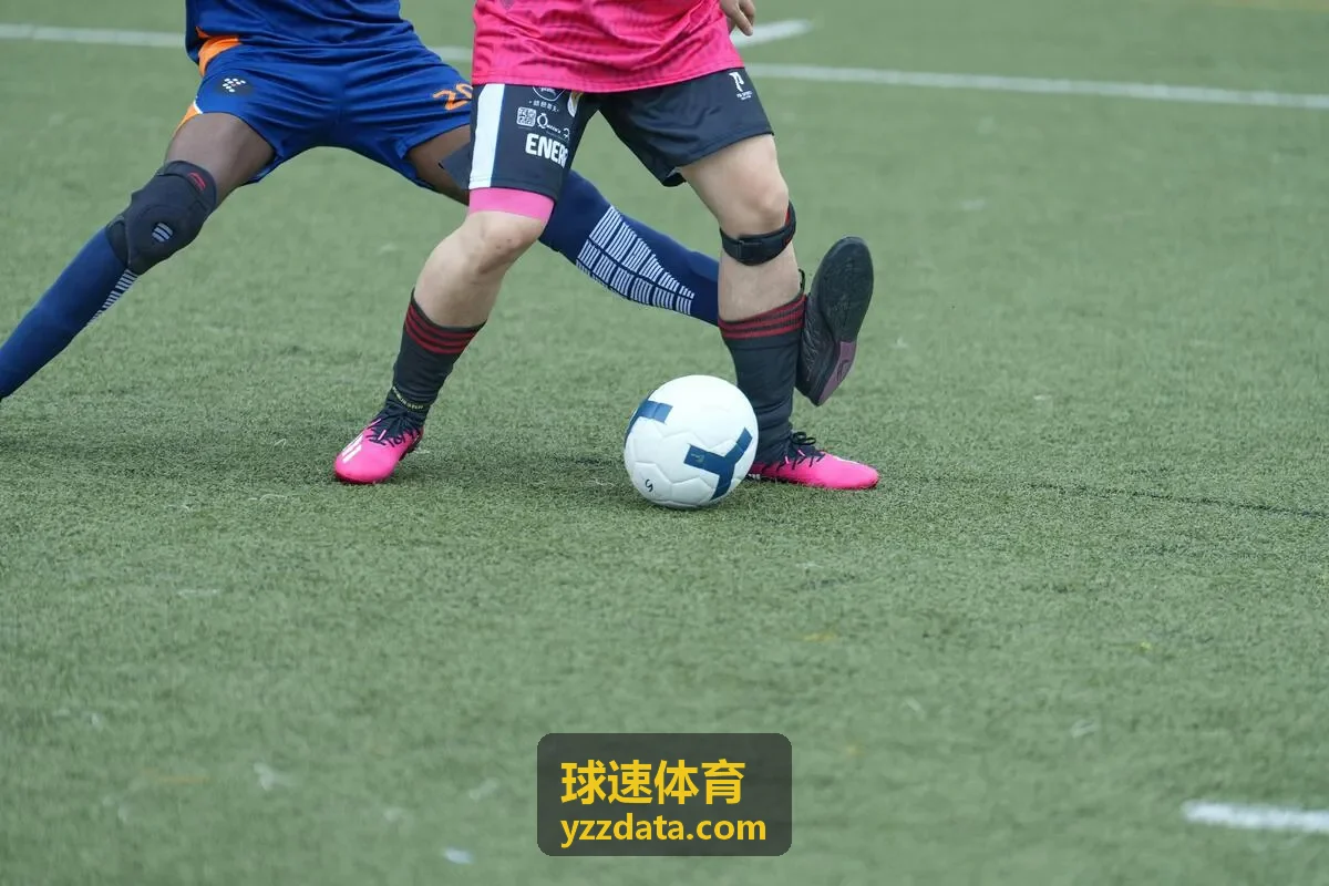 球速体育田径训练数据案例